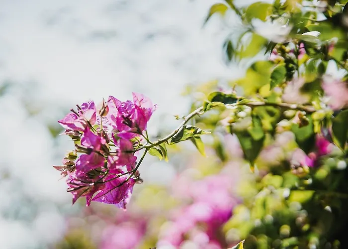 Family Friendly hotels in Dhermi